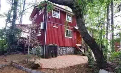 Cabañas Los Hualles de Coñaripe: Tu Refugio Nr 1 Junto al Lago
