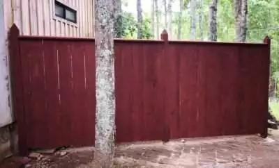 Vamos por la magia y la ecología