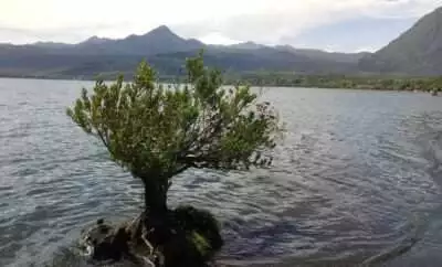 Cerca de Coñaripe 1:er balneario lacustre termal de Chile