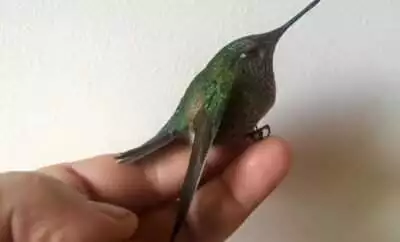 Haga de sus vacaciones una aventura científica