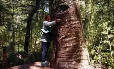 Vacaciones en el sur